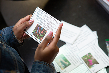 Student Reviewing Notes