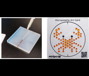 Silicone practice gels and micropipette art: Two tools for biotech learners