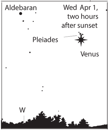 2020Apr1-Venus&Pleiades_final.png
