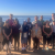 Cultivating Connection: CASE's Environmental Literacy Committee Brings Science to Life Across California