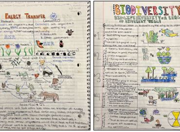 Phenomenal Science Notebooks