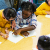 Seeds to Solutions: Free Resources for Integrating Climate-Related Topics Into Your Teaching