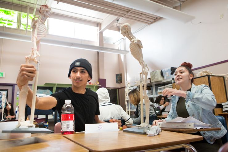 Students Looking at Skelton